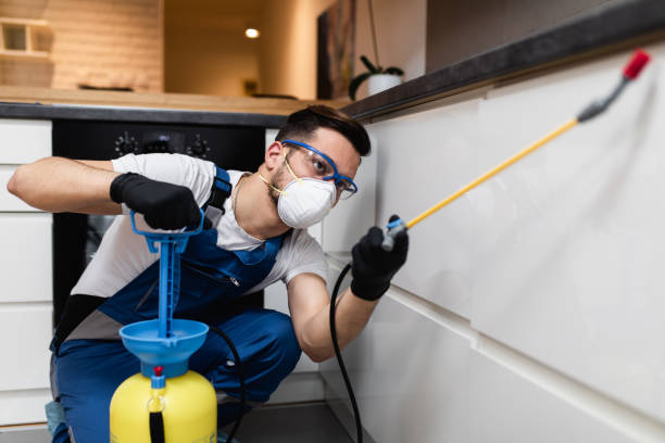 Best Affordable Pest Control Services  in Sandia Heights, NM