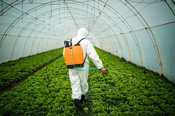 Best Commercial Pest Control Services  in Sandia Heights, NM