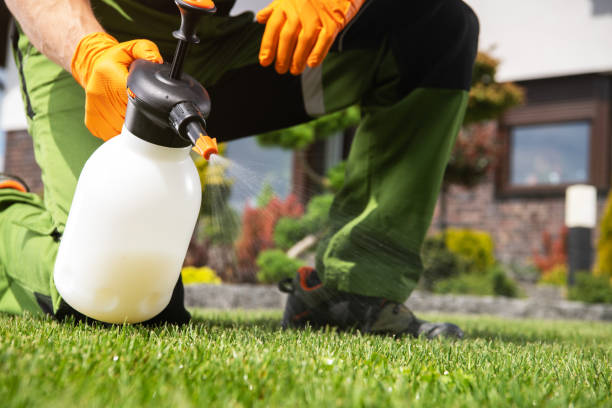Best Best Pest Control Companies  in Sandia Heights, NM