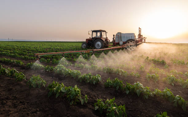 Best Mosquito Control Services  in Sandia Heights, NM