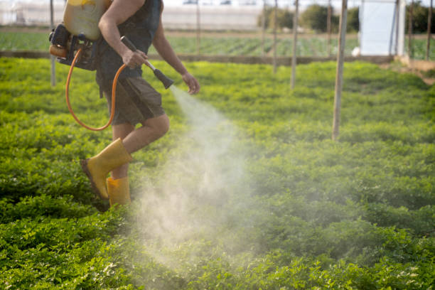 Sandia Heights, NM Pest Control Company