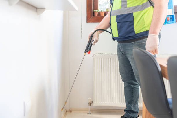 Best Wasp Removal Services  in Sandia Heights, NM