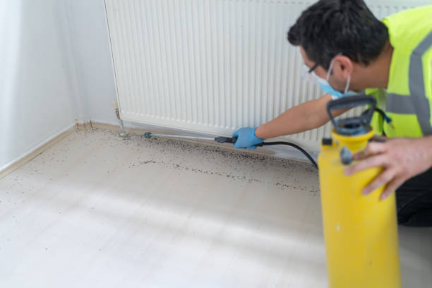 Best Pest Prevention Services  in Sandia Heights, NM