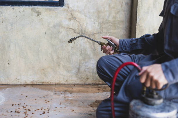 Best Pest Control Cost  in Sandia Heights, NM